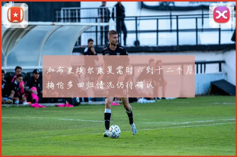 加布里埃尔康复需时六到十二个月梅伦多回归情况仍待确认
