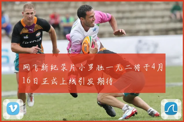 网飞新纪录片小罗独一无二将于4月16日正式上线引发期待